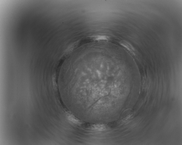 X0000069810377200605261755