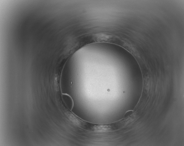 X0000069810378200605261755