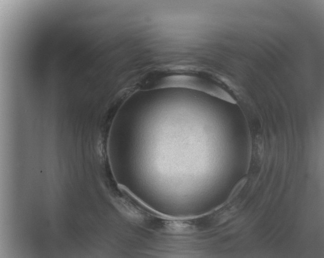 X0000069810380200605261755