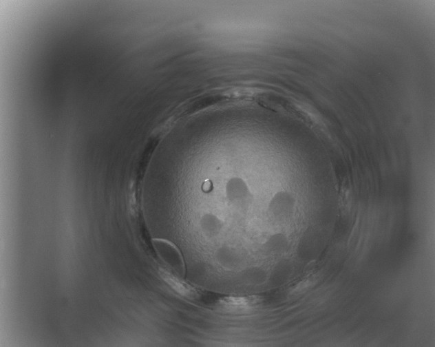 X0000069810381200605261755