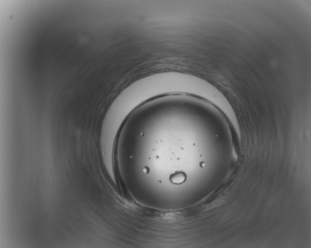 X0000069810382200605261755