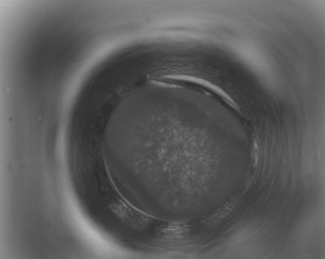 X0000069810383200605261755