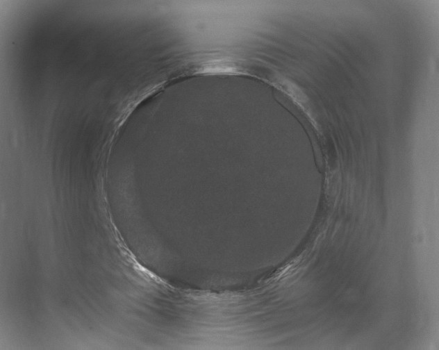 X0000069810385200605261754