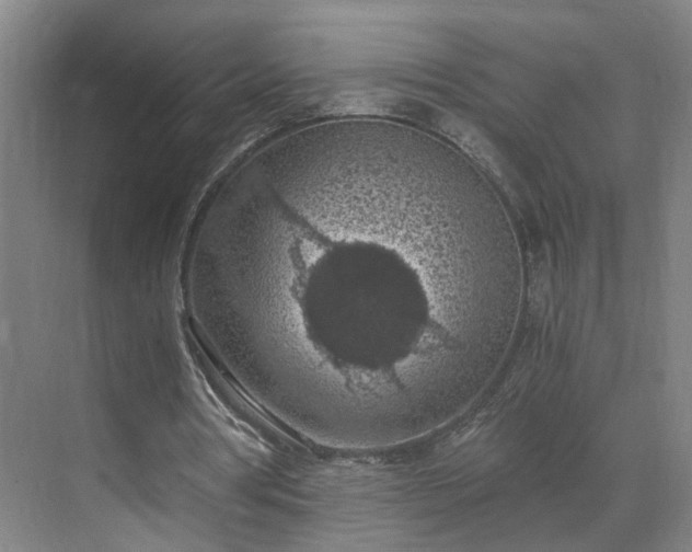 X0000069810386200605261754