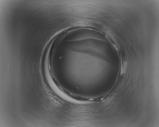 X0000069810387200605261754