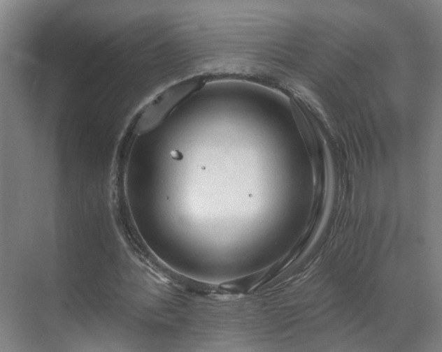 X0000069810388200605261754