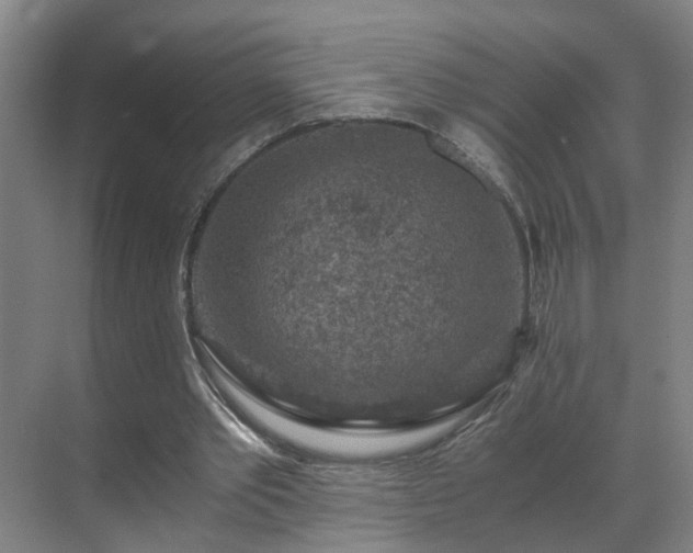 X0000069810389200605261754