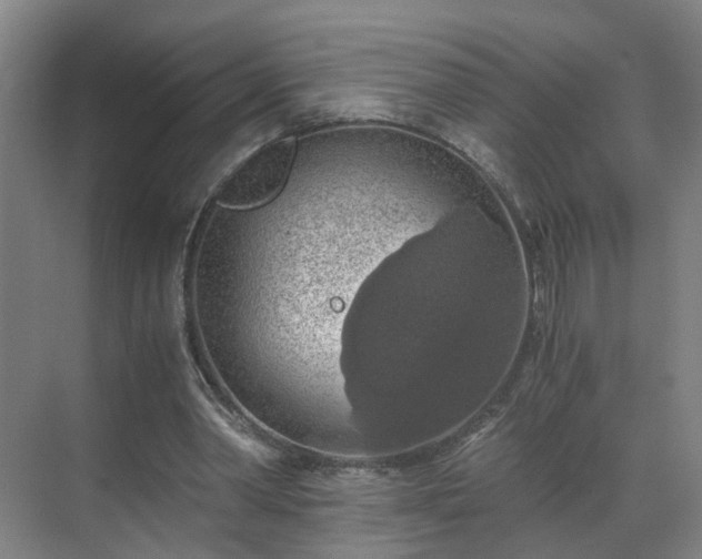 X0000069810390200605261754