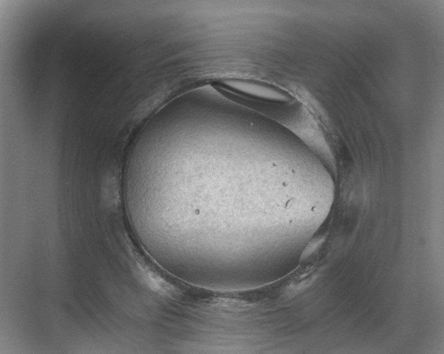 X0000069810393200605261754