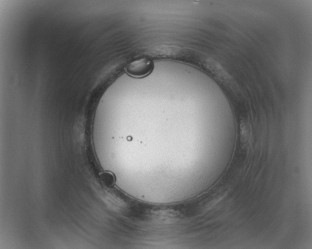 X0000069810396200605261754