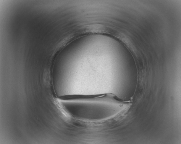 X0000069810397200605261754