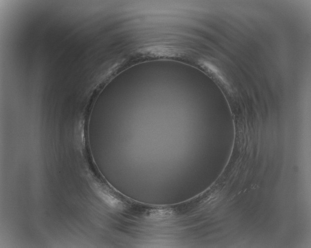 X0000069810398200605261754