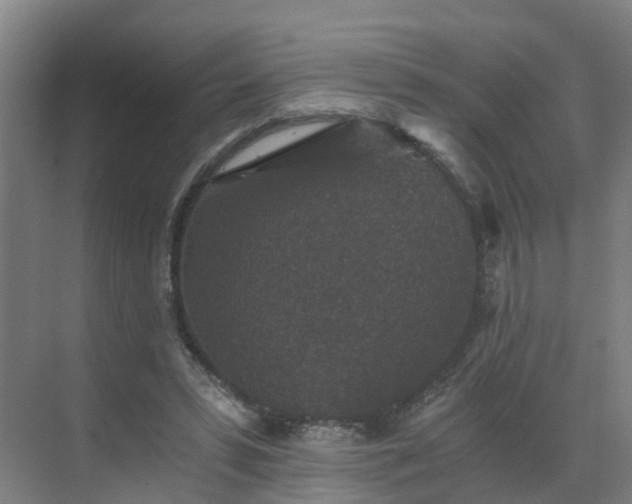 X0000069810399200605261754