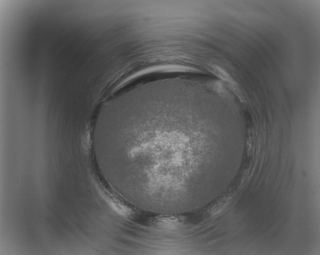 X0000069810405200605261754