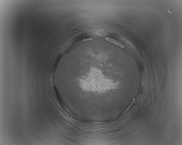 X0000069810409200605261754