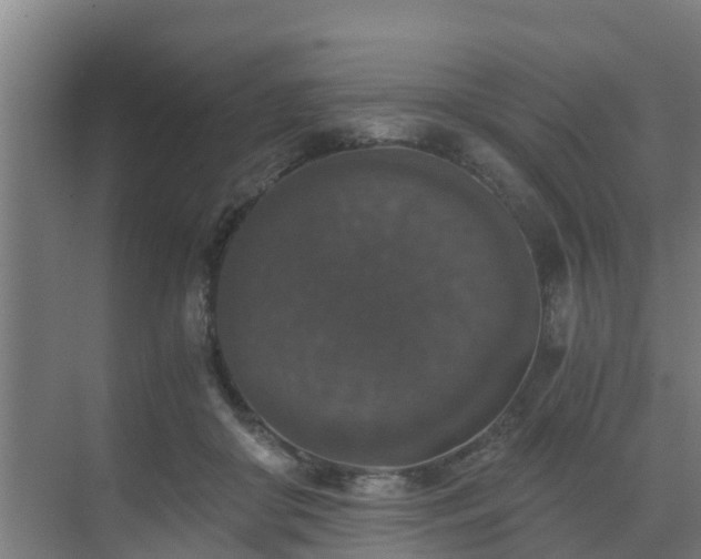 X0000069810410200605261754