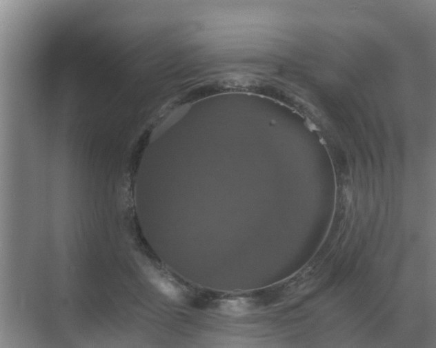 X0000069810411200605261753