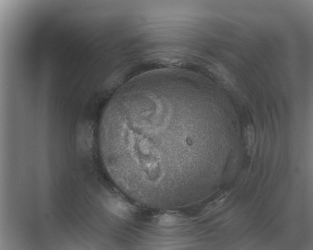 X0000069810412200605261753