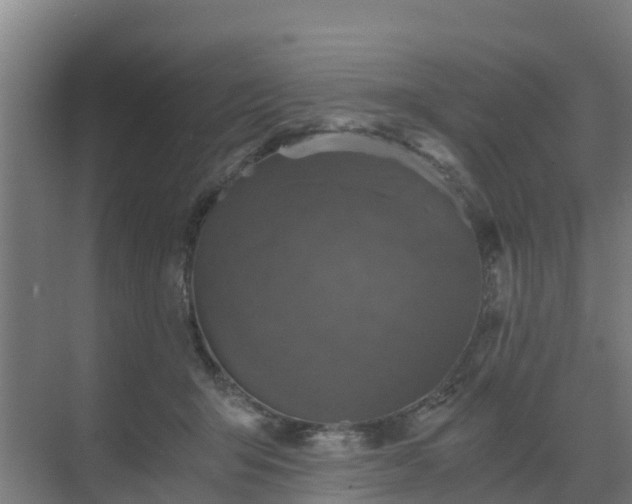 X0000069810415200605261753