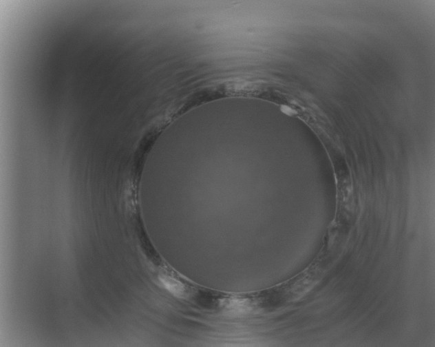 X0000069810419200605261753