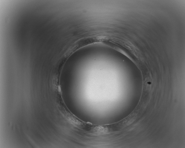 X0000069810421200605261753