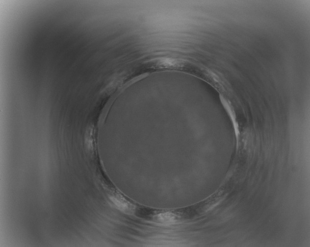 X0000069810423200605261753