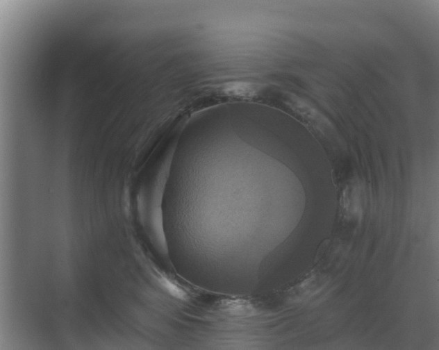 X0000069810424200605261753