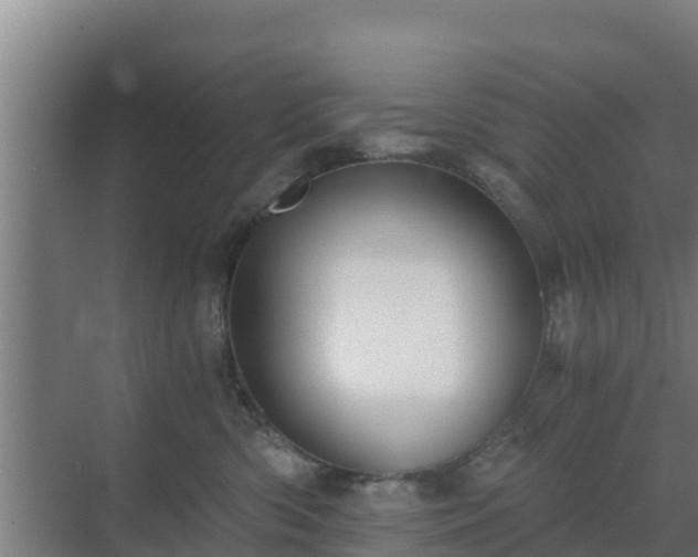 X0000069810426200605261753