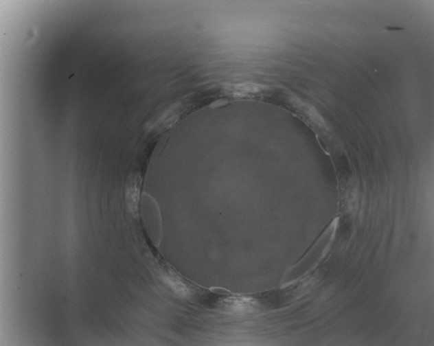 X0000069810427200605261753