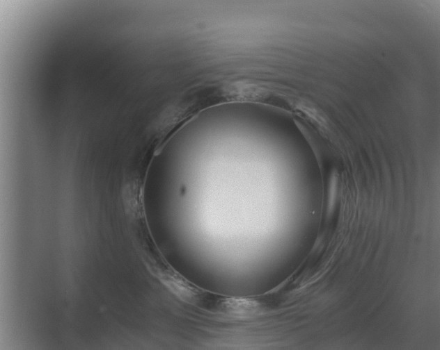 X0000069810429200605261753