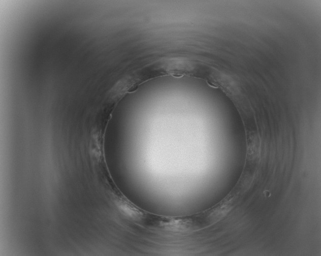 X0000069810430200605261753