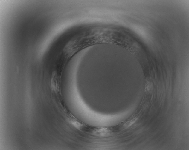 X0000069810431200605261753