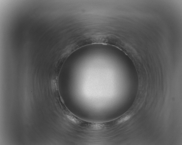 X0000069810432200605261753