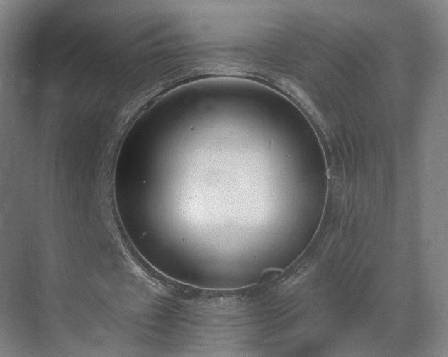 X0000069810433200605261752