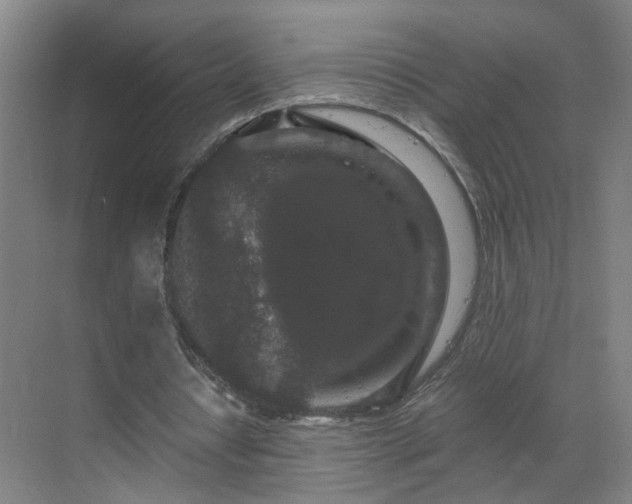 X0000069810434200605261752