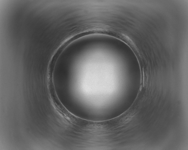 X0000069810435200605261752