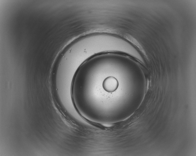 X0000069810436200605261752