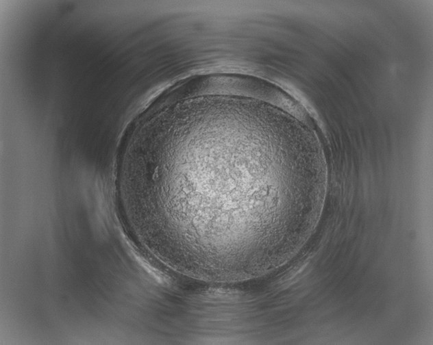 X0000069810437200605261752