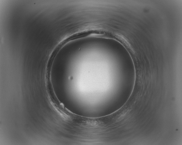 X0000069810439200605261752