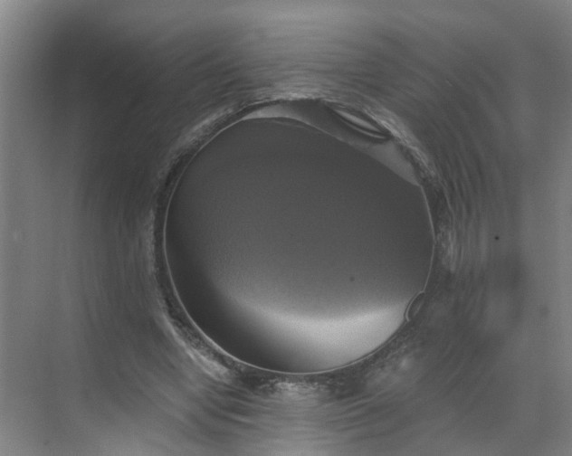 X0000069810442200605261752