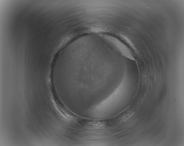 X0000069810443200605261753