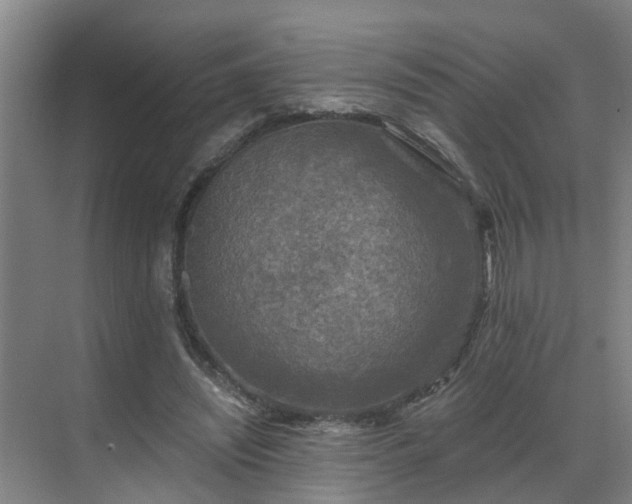 X0000069810444200605261753