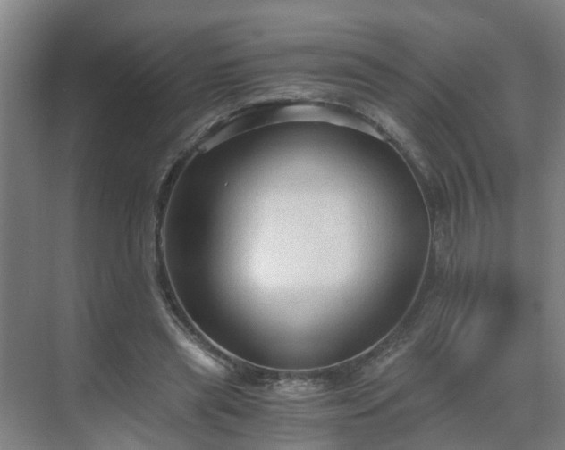 X0000069810445200605261753