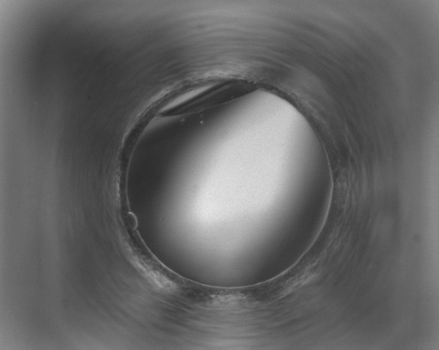 X0000069810446200605261753