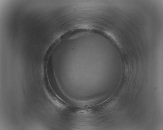 X0000069810447200605261753