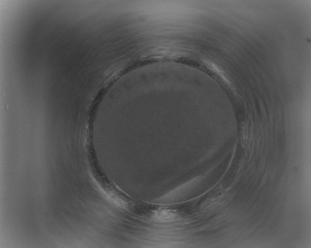 X0000069810451200605261753