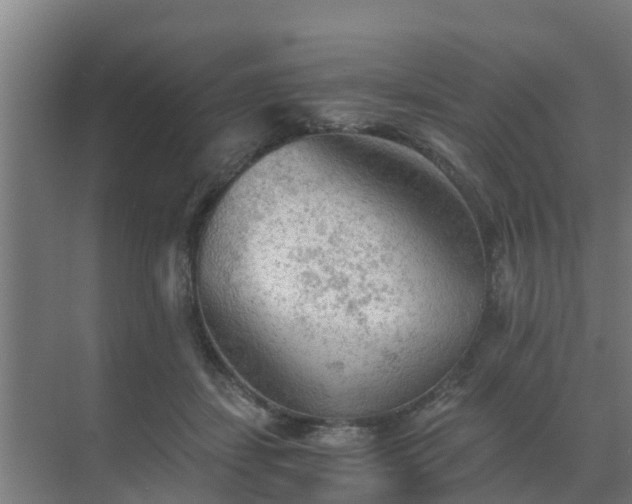 X0000069810459200605261753