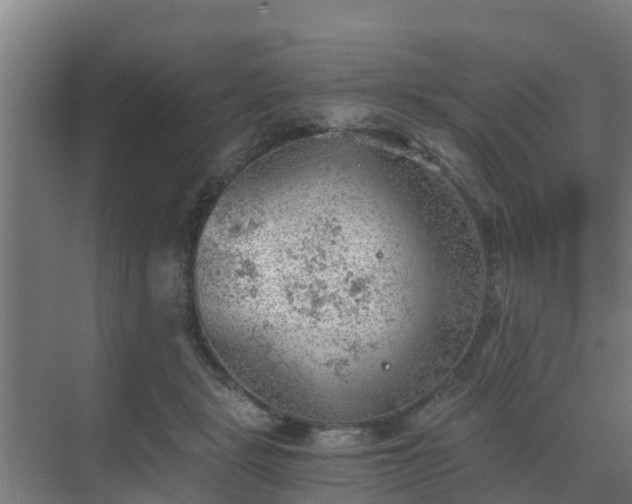 X0000069810461200605261753