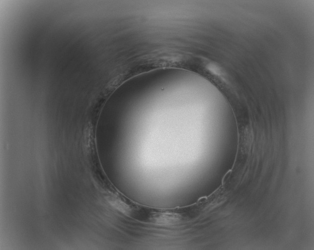 X0000069810463200605261753