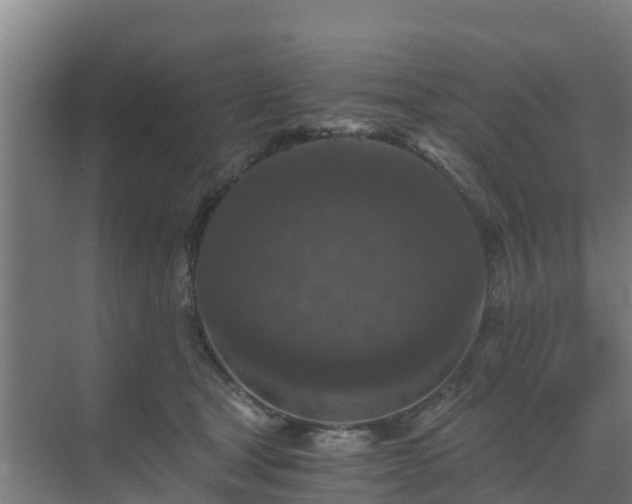 X0000069810465200605261753